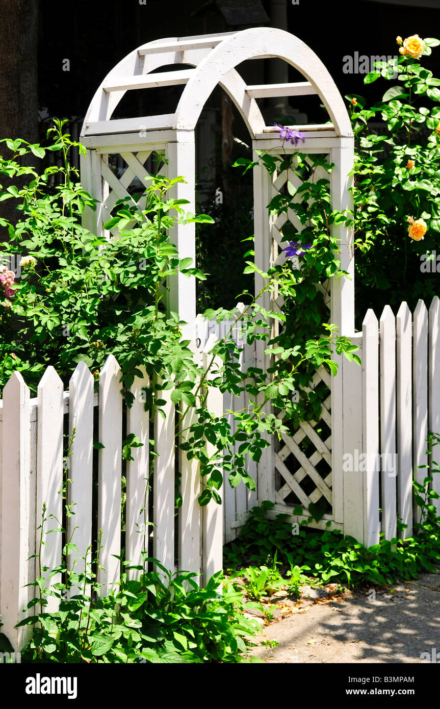 Roses arbor garden trellis hires stock photography and images Alamy