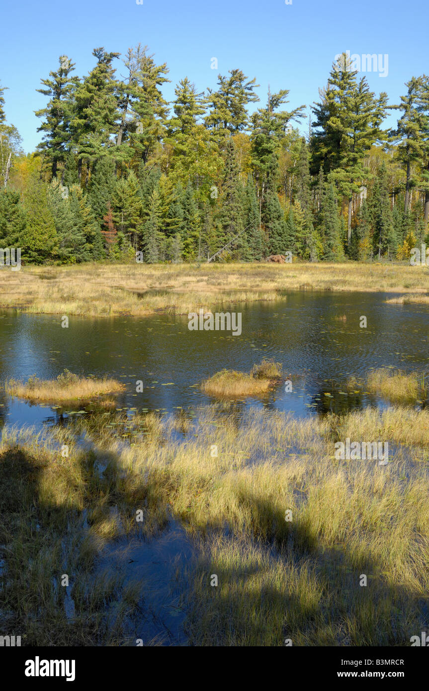 Frost River, Boundary Waters Canoe Area Wilderness, Superior National Forest, Minnesota, USA Stock Photo