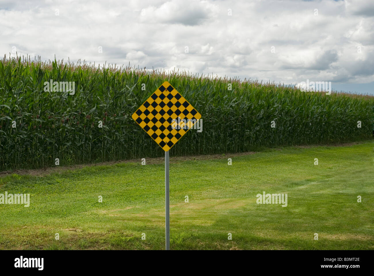 Termination of Road or End of Road sign with corn field in the background Stock Photo