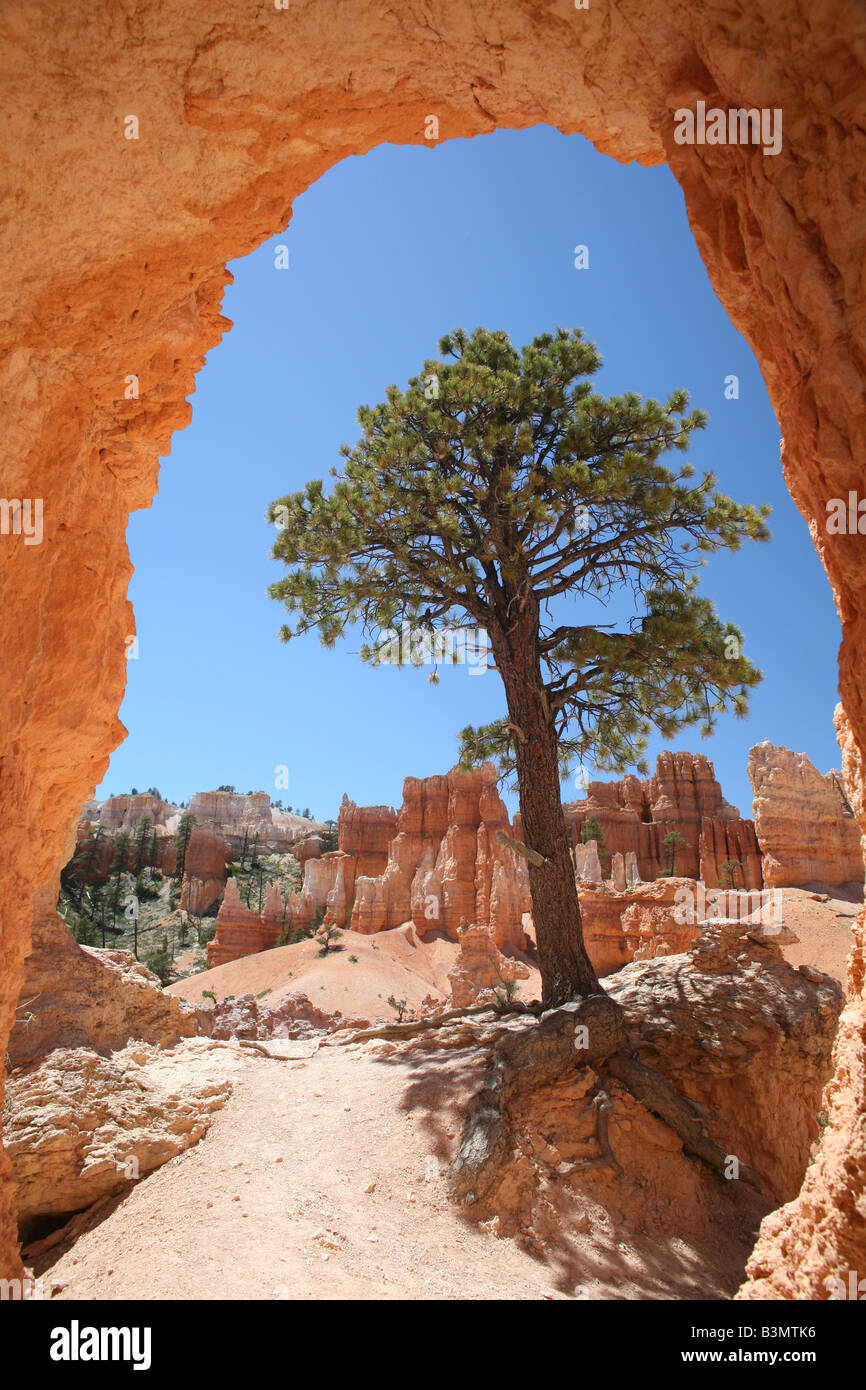 View Bryce Canyon Hike Trail Stock Photo
