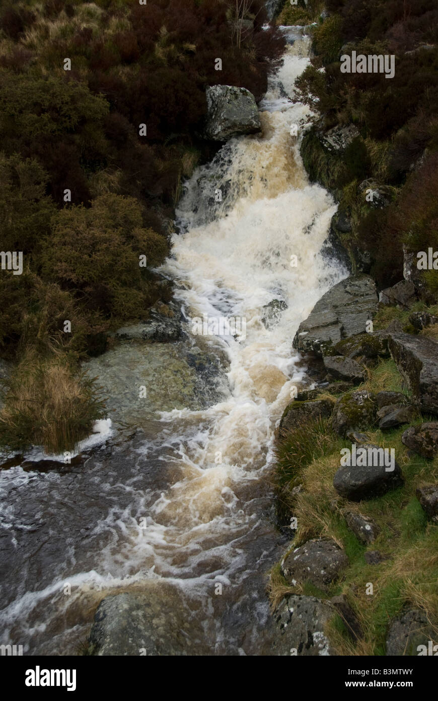 Irish peat bog river Stock Photo Alamy