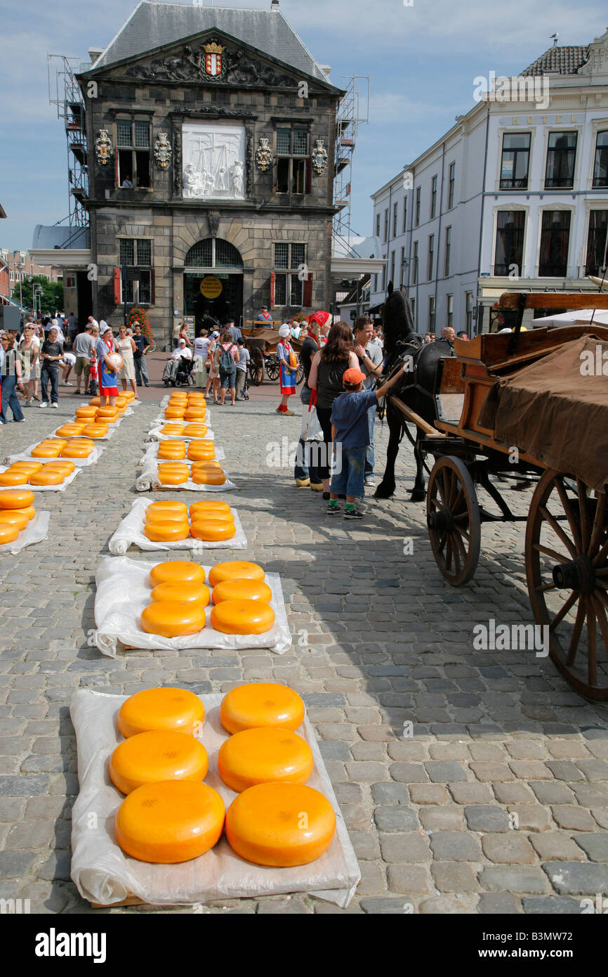 Cheese market, Gouda, Netherlands Stock Photo Alamy
