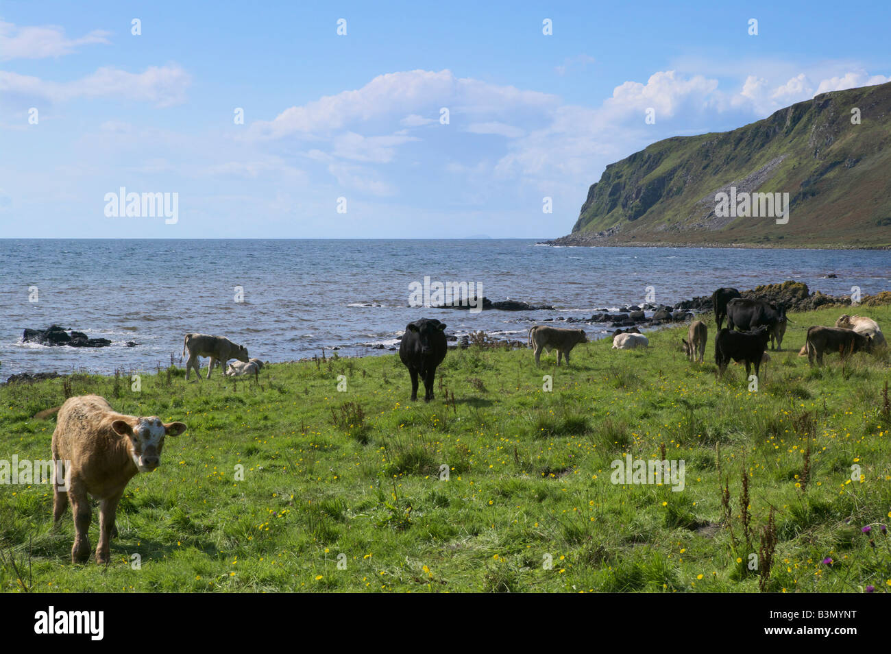 View towards Bennan Head, Isle of Arran, North Ayrshire, Scotland, UK. Stock Photo
