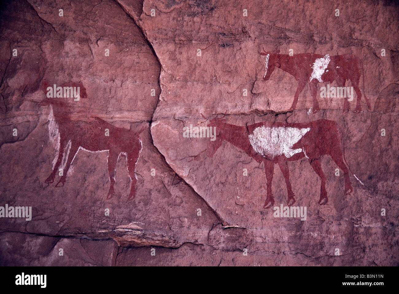 Rock paintings depict animals that existed when the Sahara Desert was green, Libya. Stock Photo