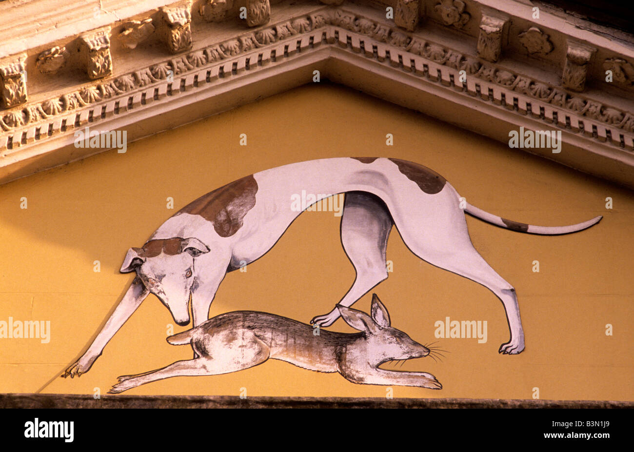 The Greyhound unusual 18th century painted inn sign Blandford Forum signs pub Dorset England English UK Stock Photo
