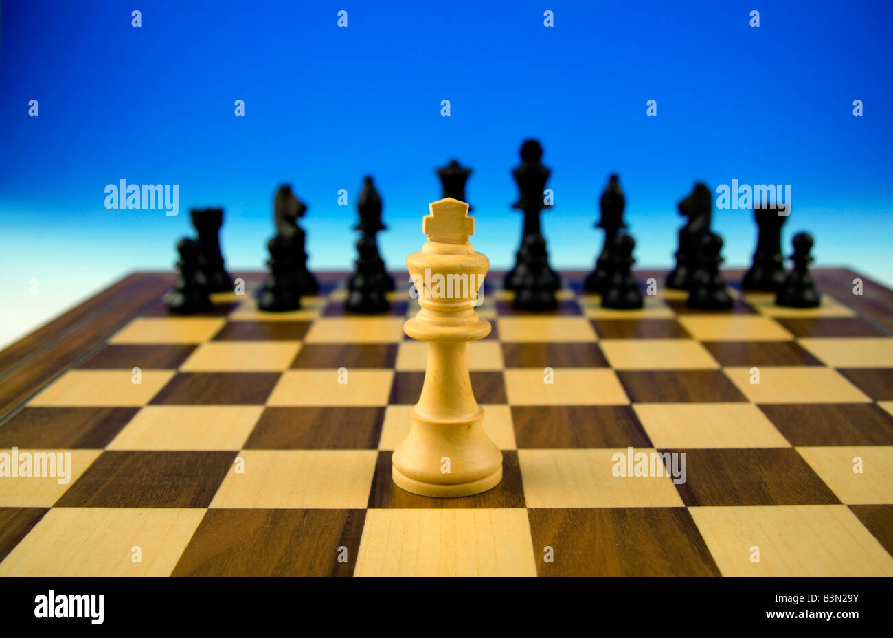 king on chessboard symbolism for strategy and its practicality in view of various interest groups Stock Photo