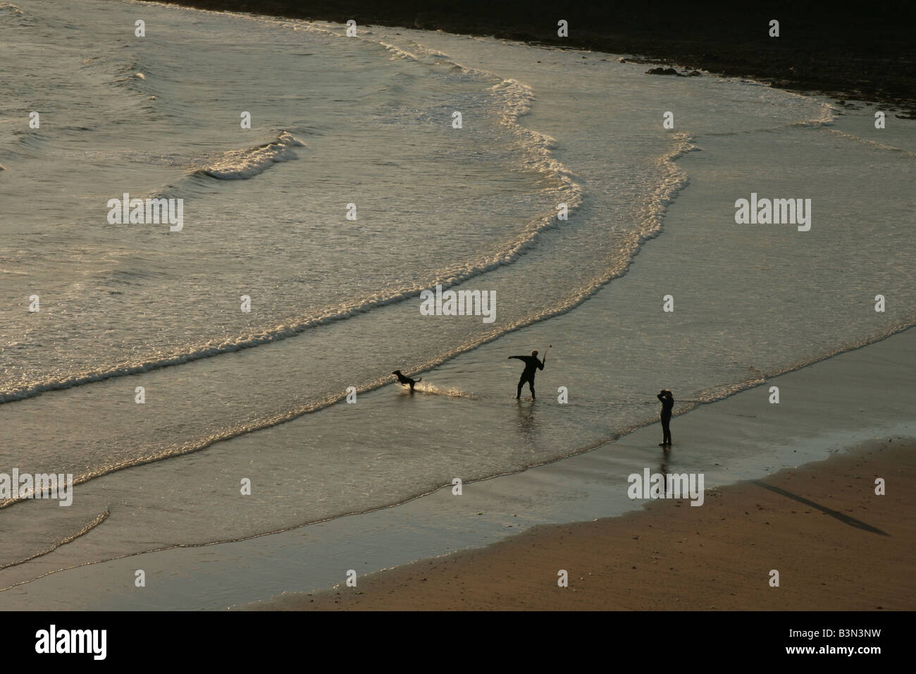 Manorbier (dog or dogs) hires stock photography and images Alamy