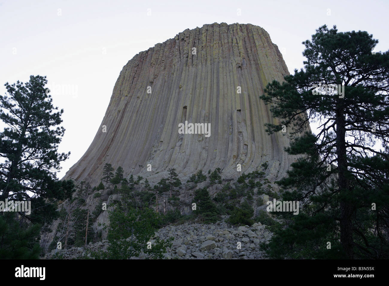 nature scene,yellowstone national park Stock Photo