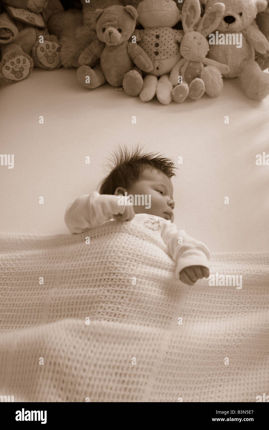baby in cot Stock Photo Alamy