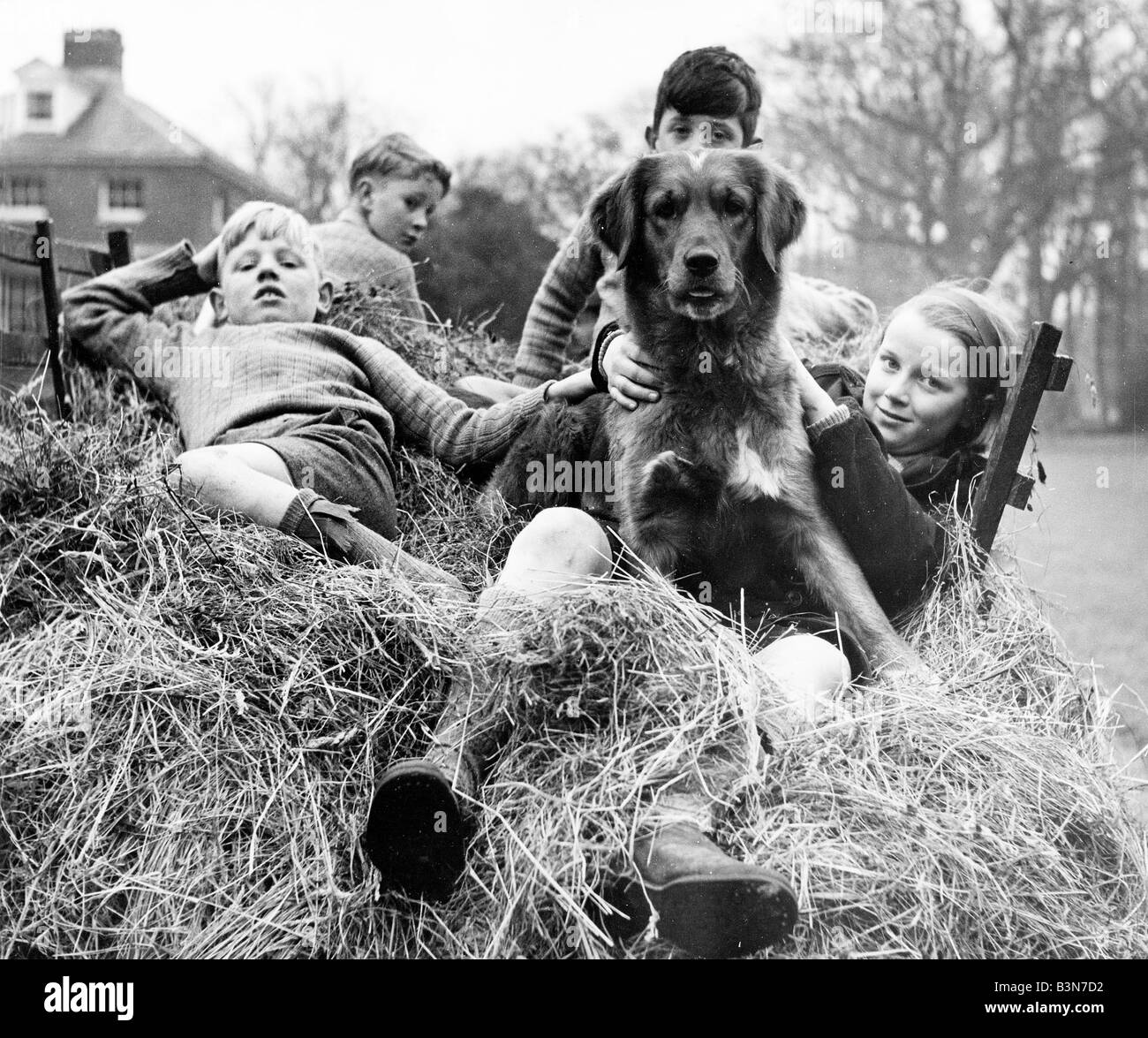 CHILDREN WITH THEIR PET DOG  A group of English youngsters about 1955 Stock Photo