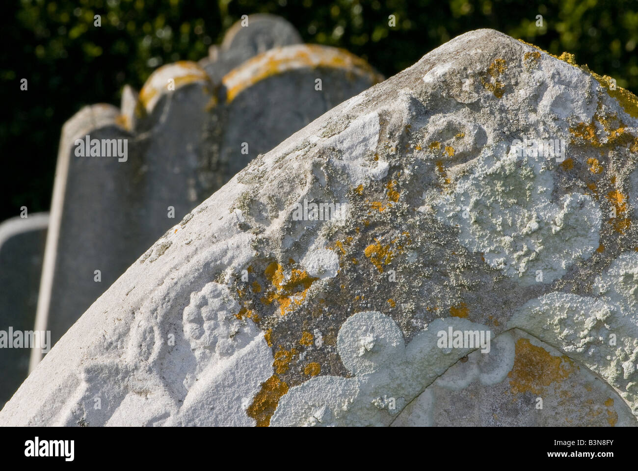 Lichen growing on a gravestone Stock Photo