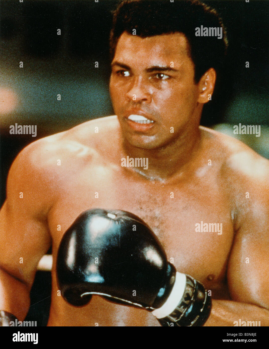 4 Muhammad Mohammed Ali Preprint Photos Boxer Cassius Clay Boxing Champion 