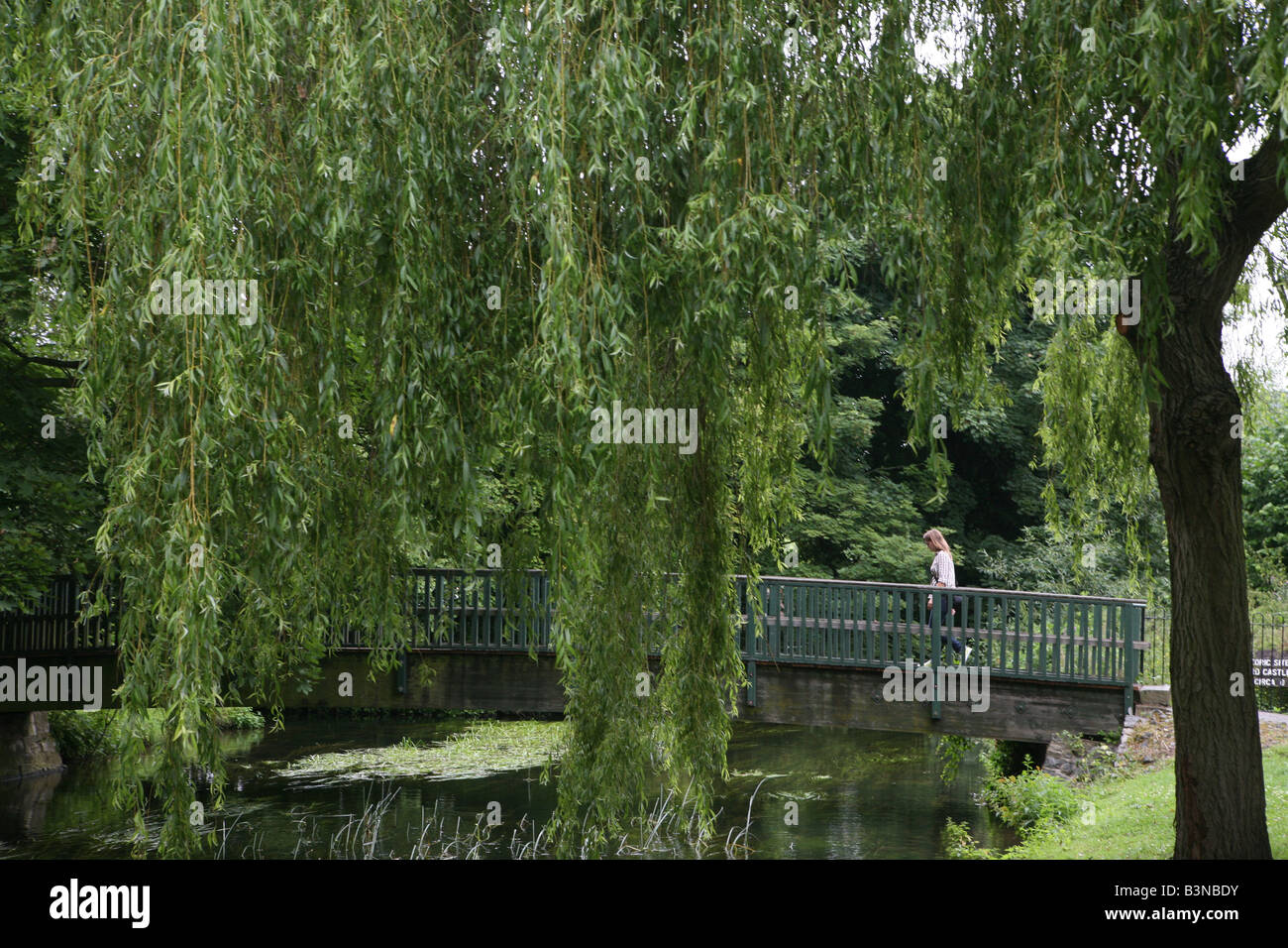 a quintessential landscape of a english park with a weeping willow and a woman walking over a footbridge Stock Photo