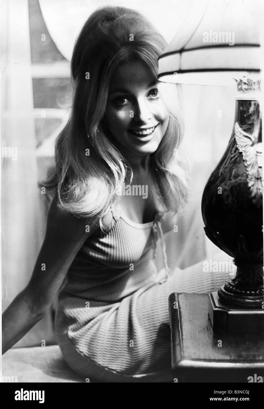 Sharon Tate 22 Sept 1955 American actress who landed role in the MGM picture called 13 is to co star David Niven and Kim Novak Stock Photo