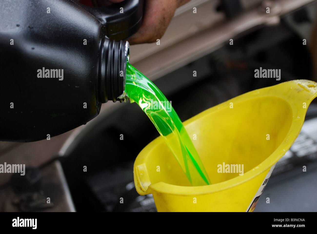 Engine Coolant (antifreeze) being poured into a funnel Stock Photo Alamy
