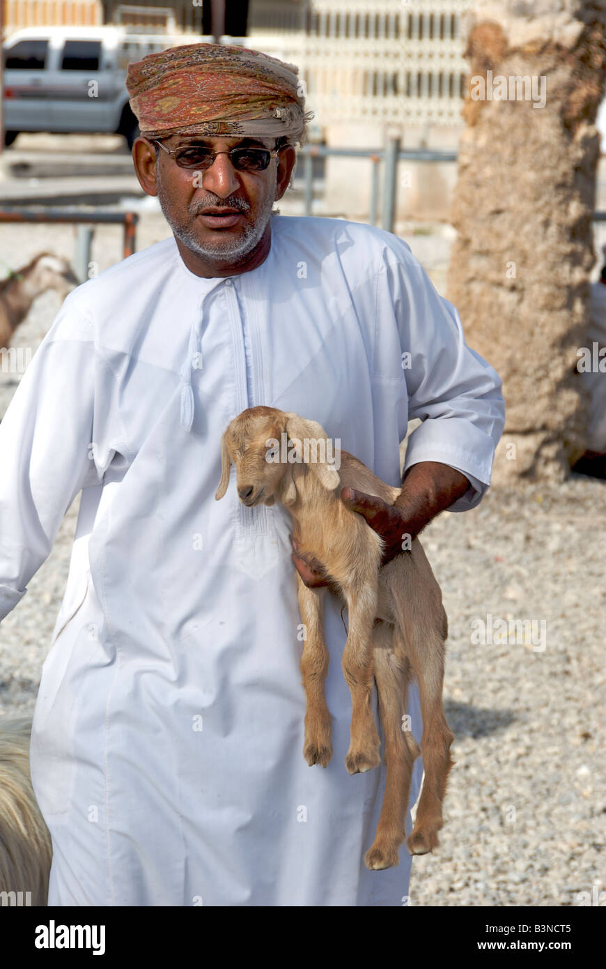 Man carrying baby goat livestock souq or market Nizwa Al Dakhiliyah Region Sultanate of Oman Stock Photo