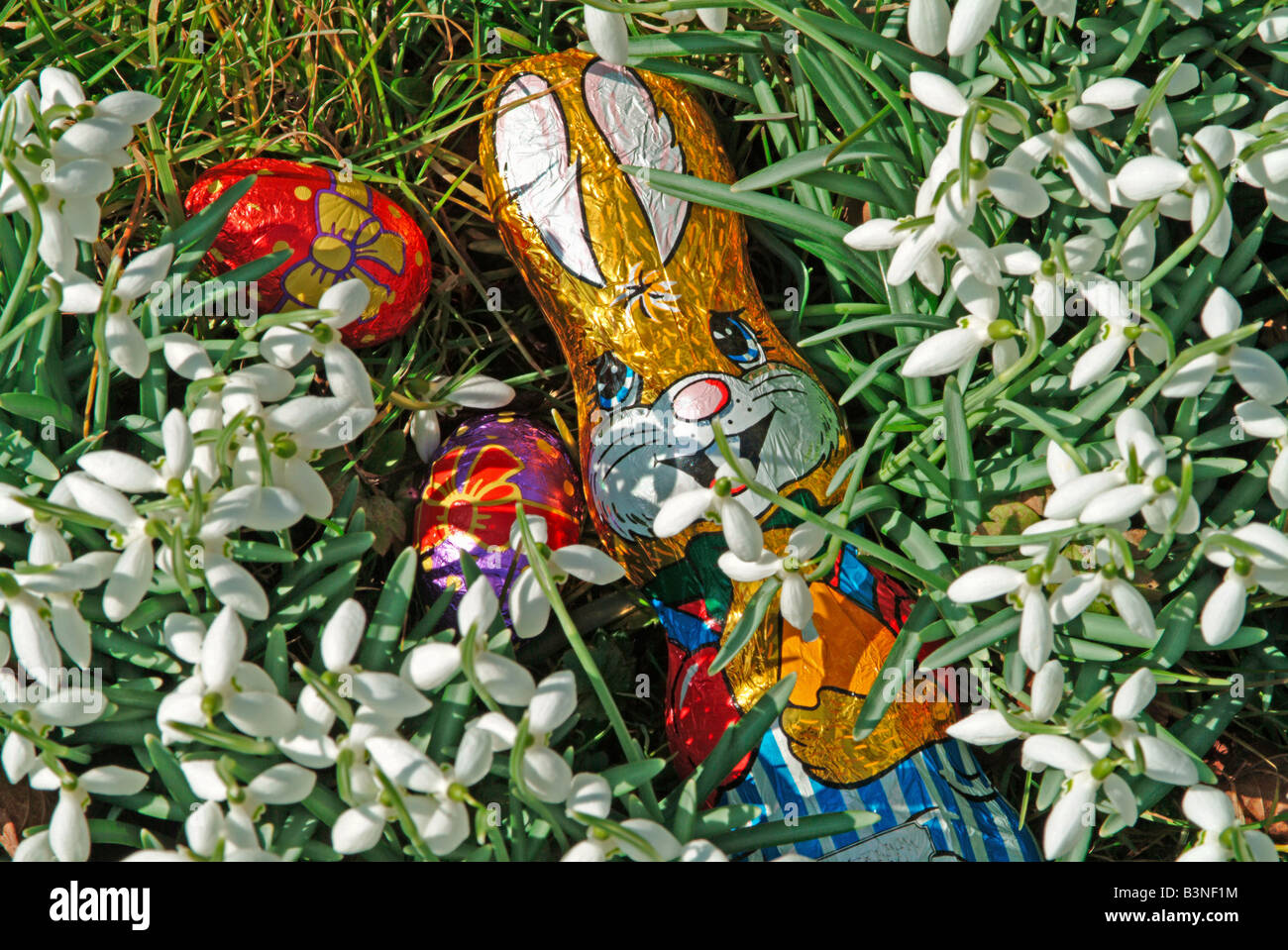 Easter : chocolate bunny on meadow Stock Photo - Alamy