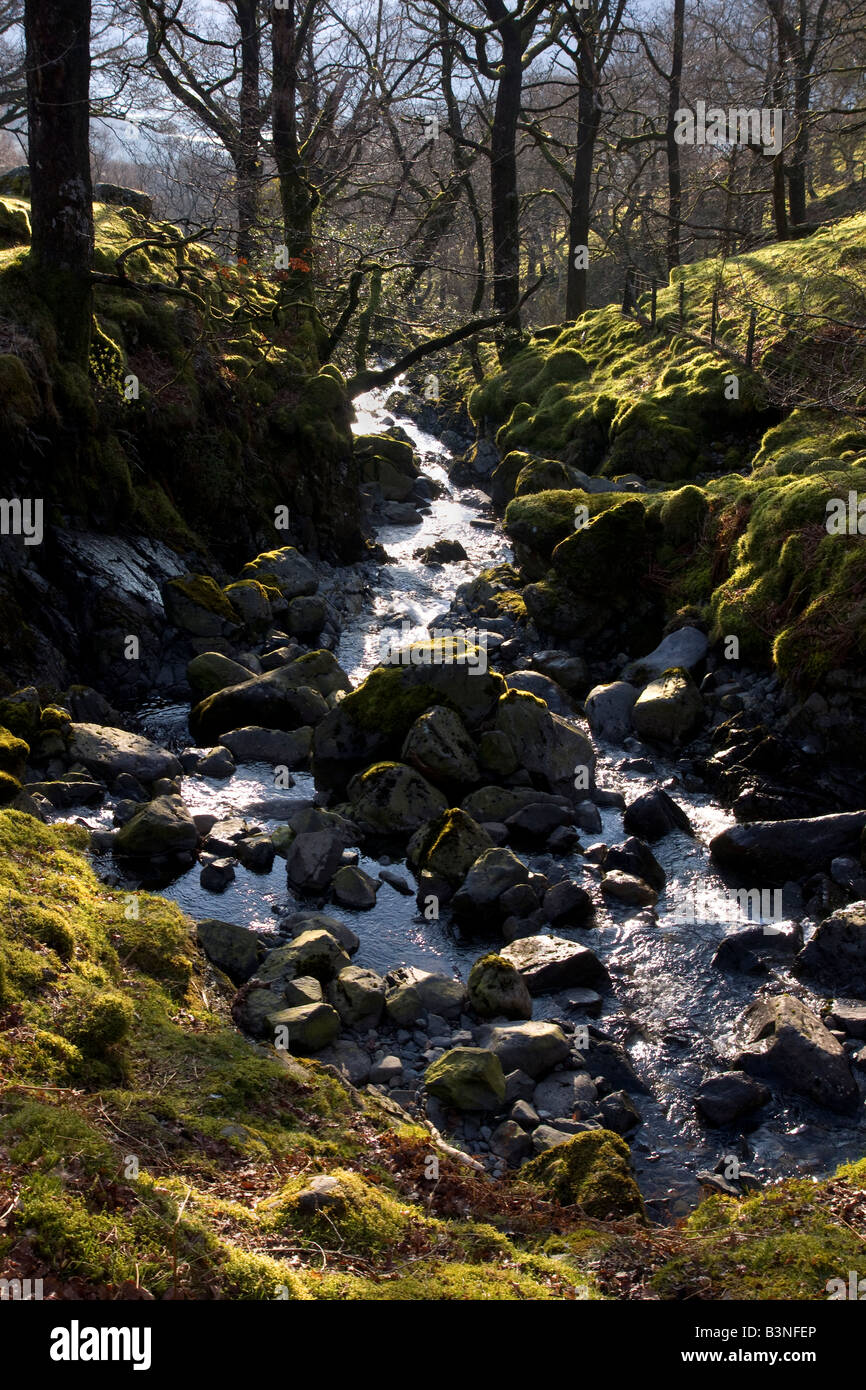 waterfall on hause gill cumbria lake district Stock Photo