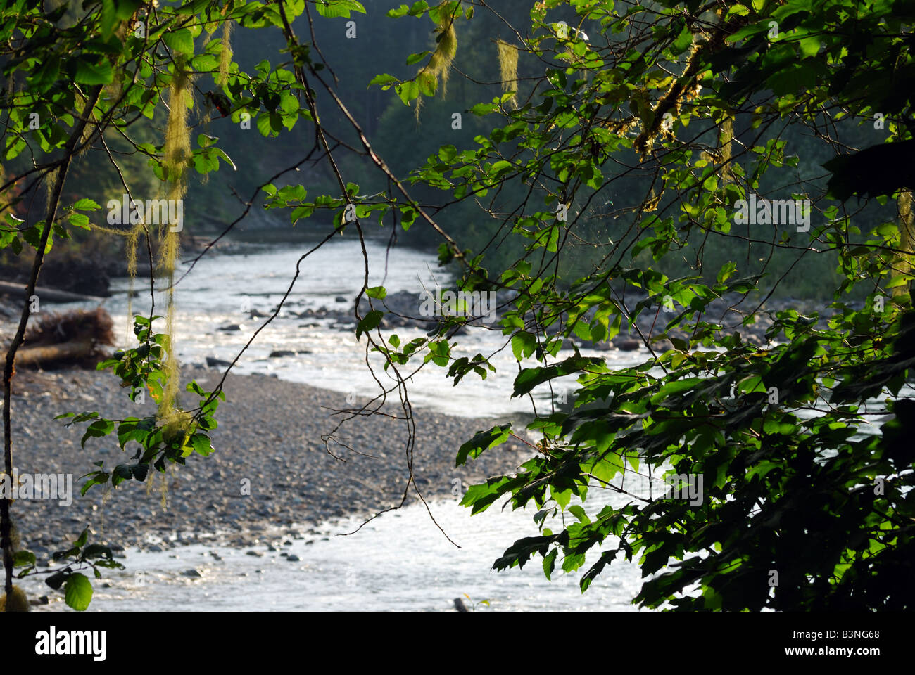 The South Fork Stillaguamish River as seen along the Mountain Loop Highway near Silverton, WA. Stock Photo