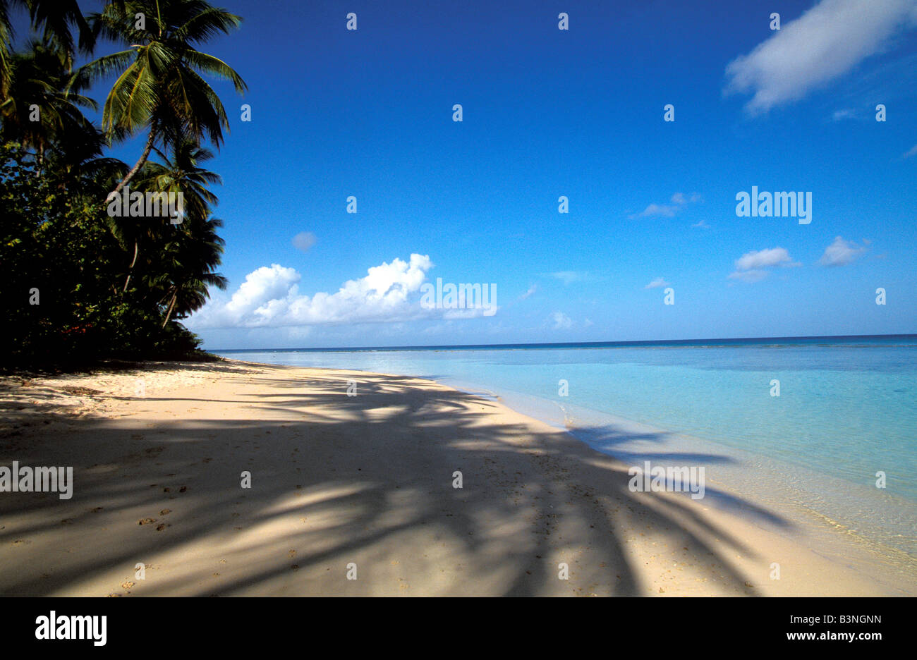 Tropical Sand beach with long palm tree shadows at Pigeon Point, Tobago Stock Photo