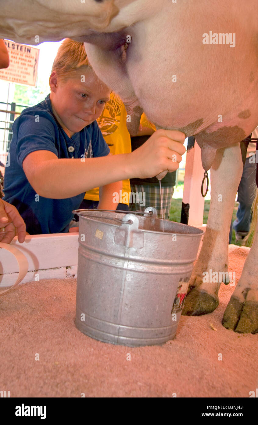 Boy milking cow hires stock photography and images Alamy