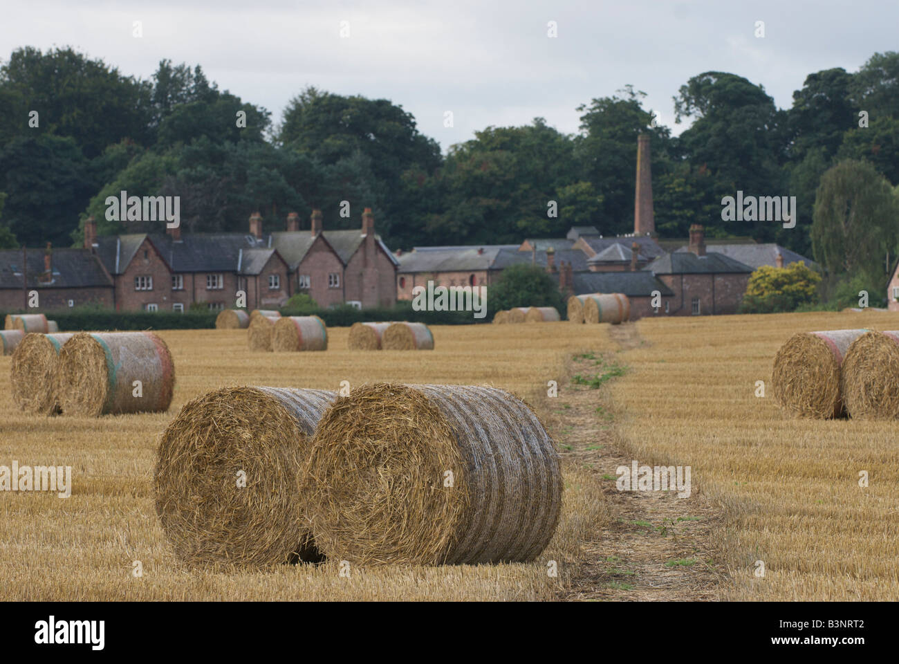Tatton Park Farm a backdrop to Harvest crops on the Tatton estate in Knutsford, Cheshire Stock Photo