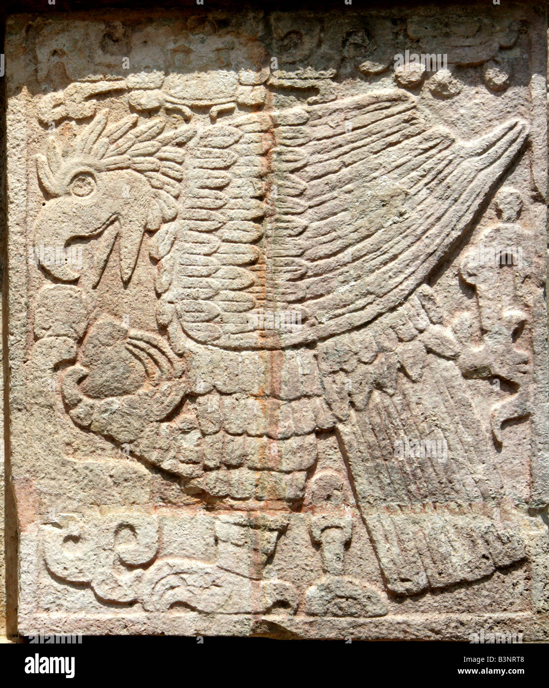 Mayan Eagle High Resolution Stock Photography and Images Alamy