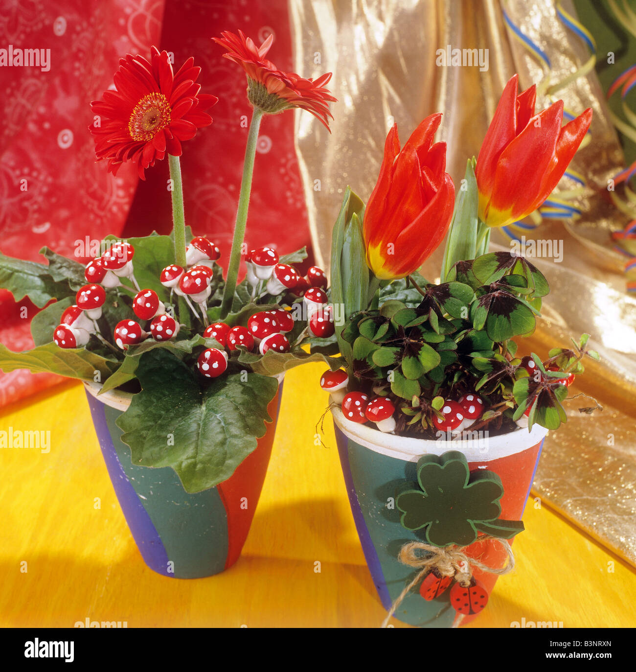 two flowerpots with Gerbera and tulips Stock Photo