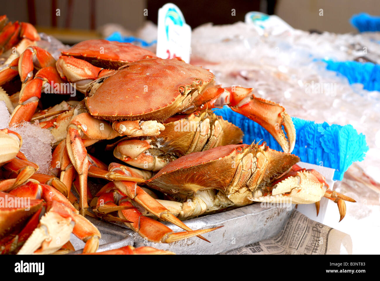 Fresh crab for sale at an outdoor fish market Stock Photo - Alamy
