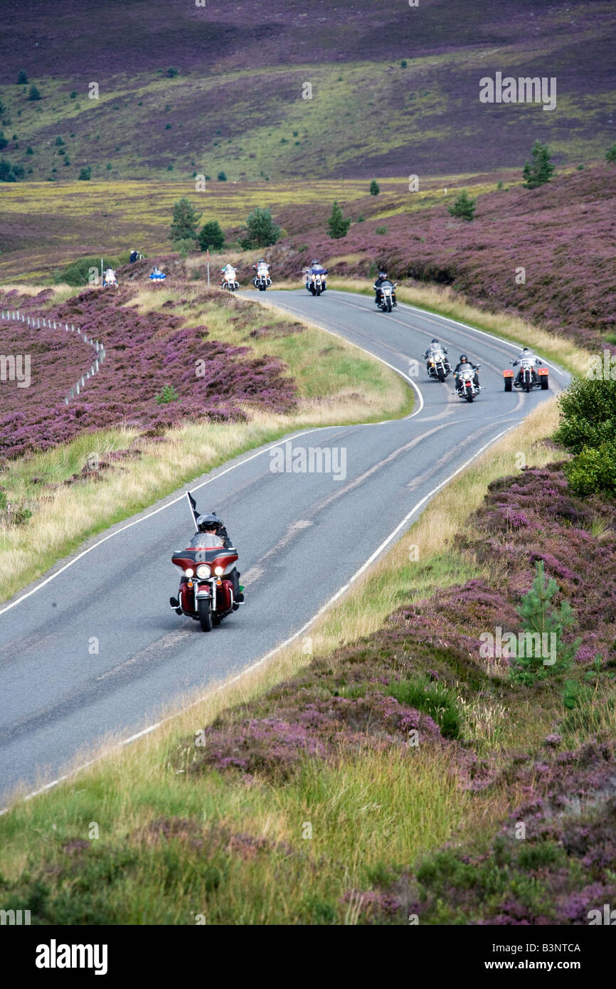 Harley-Davidson motorcycles at summer event, Thunder in the glens Aviemore, Scotland uk Stock Photo