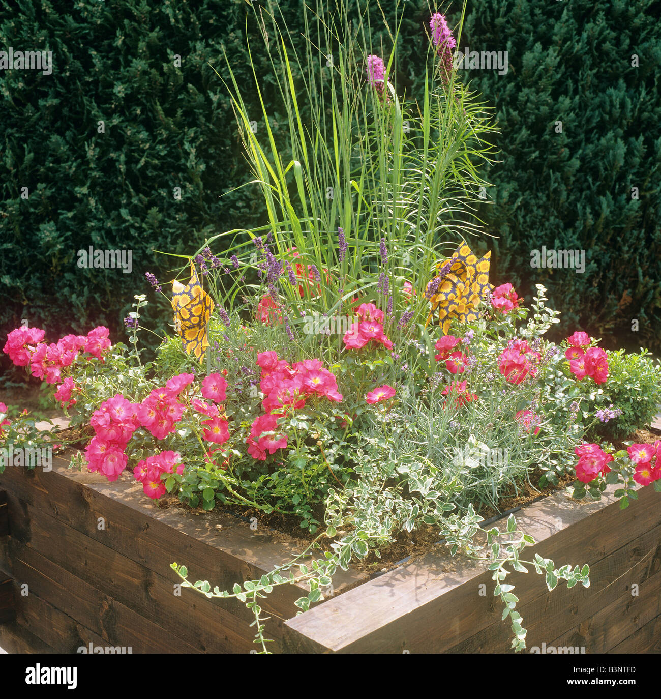 wooden tub with different flowers and plants Stock Photo - Alamy