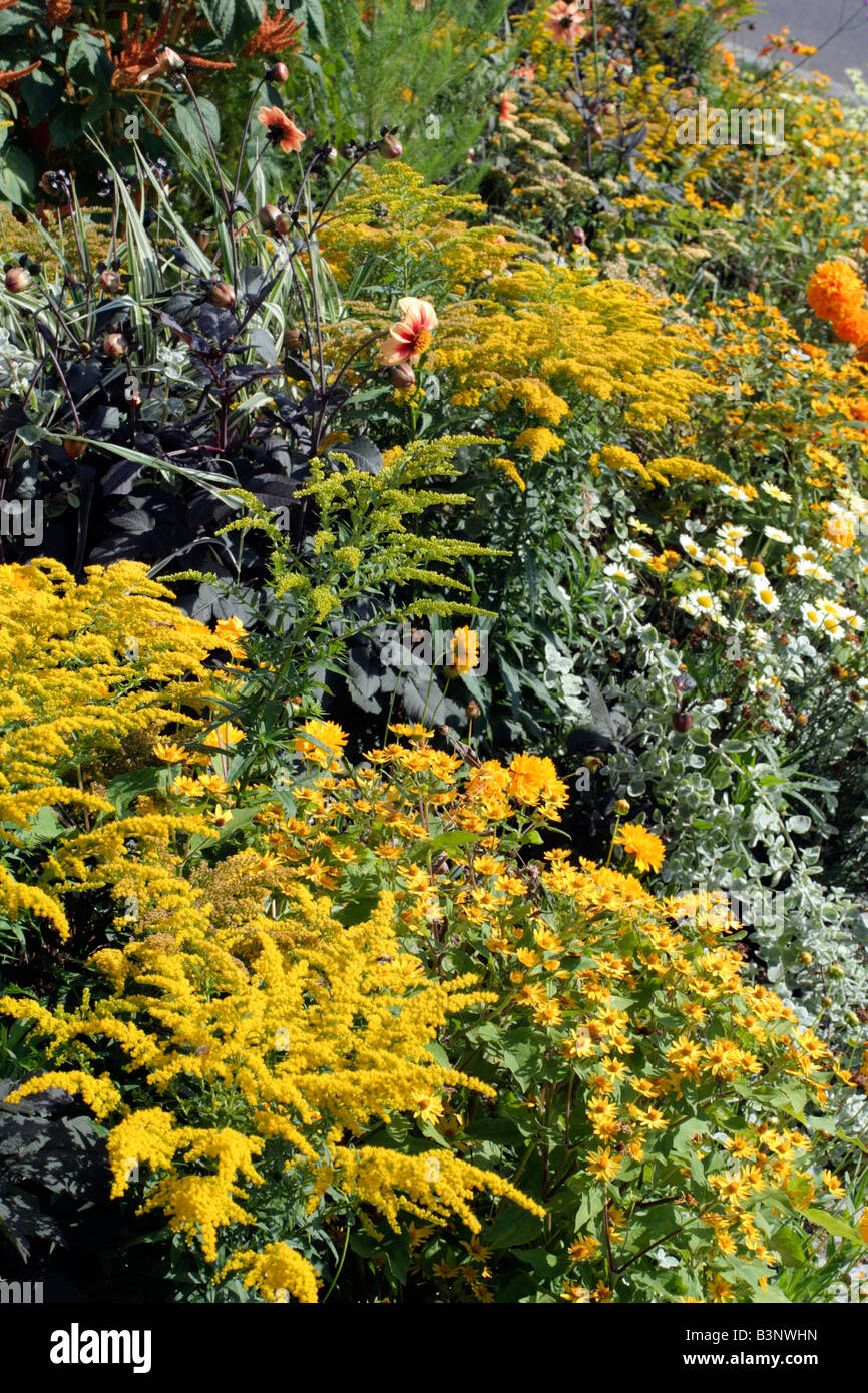 MUNICIPAL AMENITY PLANTINGS AT ST AIGNAN LOIRE VALLEY USING SOLIDAGO ANTHEMIS HELICHRYSUM AMARANTHUS AND TAGETES Stock Photo