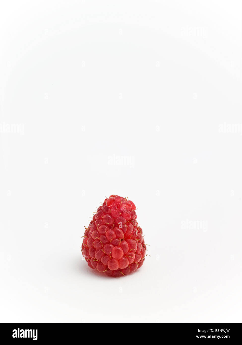 Exploded Raspberry Stock Photo Raspberries fruits copy Cut Out Stock Images & Pictures - Alamy