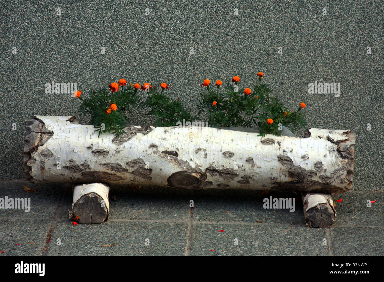 Hand made wooden flower pot Stock Photo Alamy