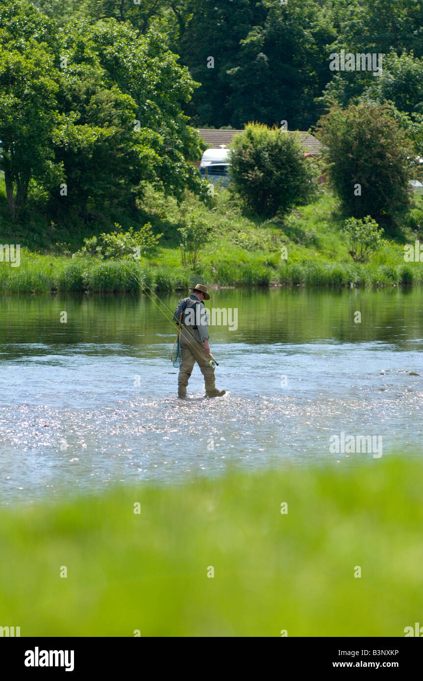 A man goes fly fishing in the River Wye at Builth Wells Powys Wales