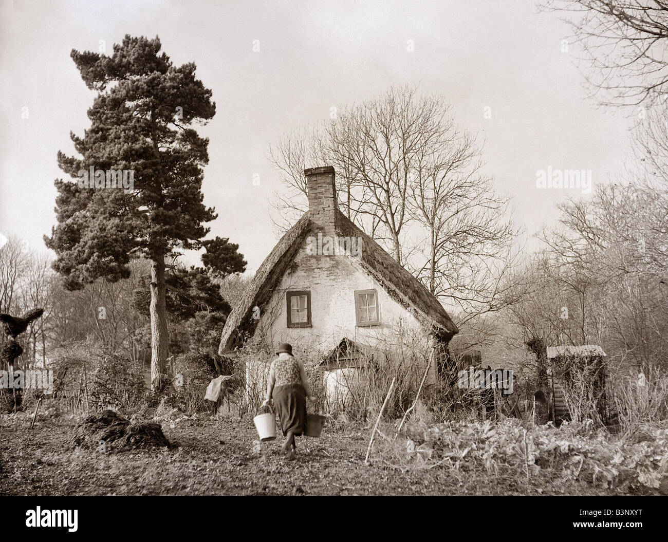 Marked by the lone fir tree the stalwart old cottage offers beneath its