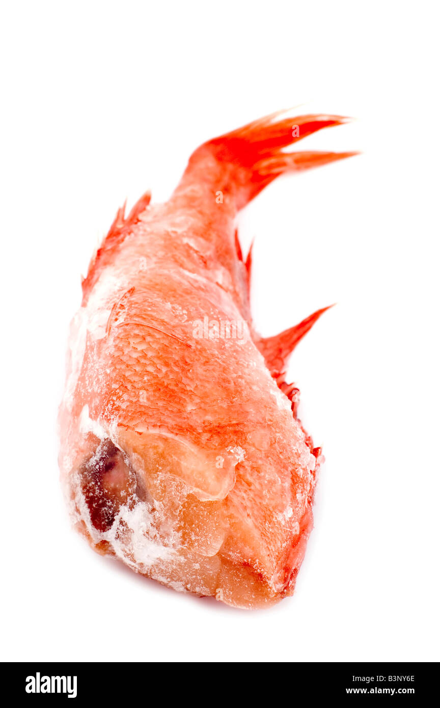 object on white raw food Red perch Stock Photo