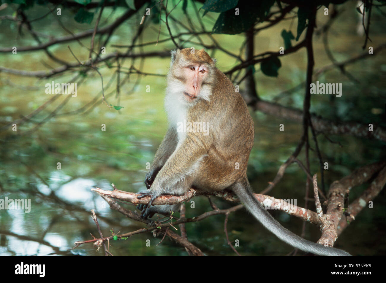Laboraties hi-res stock photography and images - Alamy