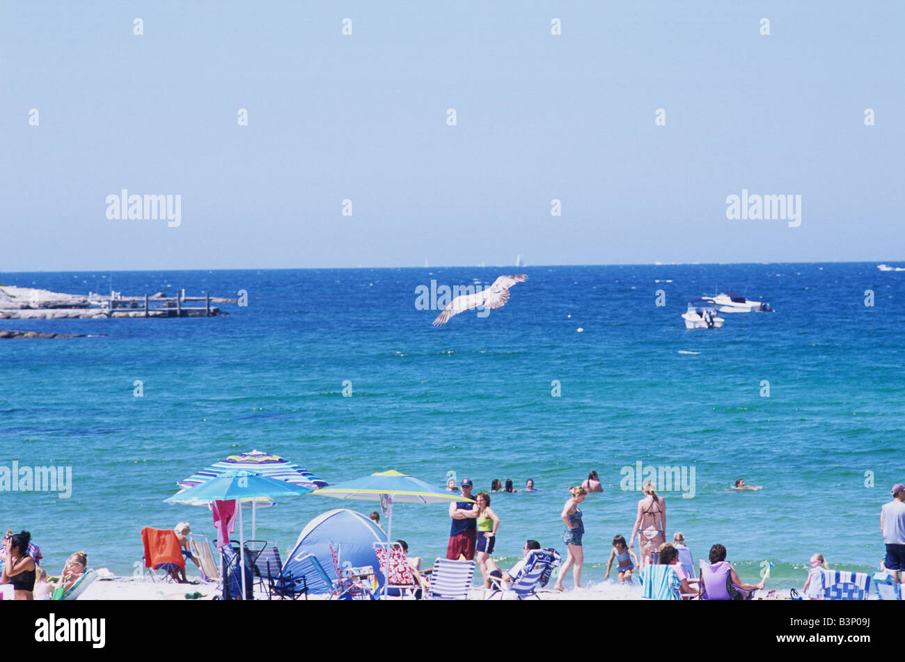 Crowd of people enjoying the sun and water at Old Silver Beach, Falmouth on Cape Cod with umbrellas and bathing suits Stock Photo