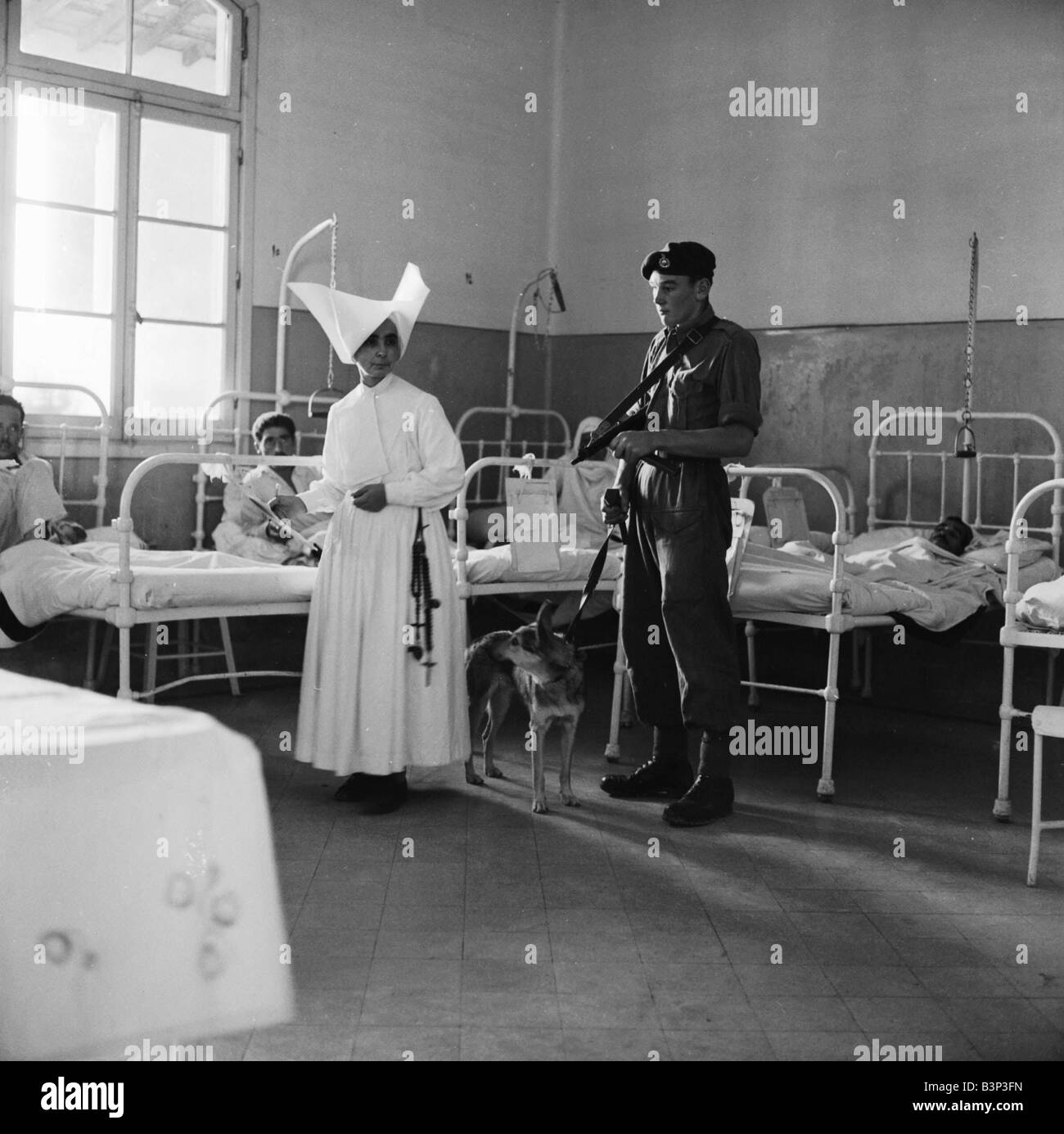 Suez Crisis 1956 Royal Marine Andrew Hall accompanies Sister Mary Joseph on her rounds at a hospital in Port Said Sister Mary from the Sister of Charity Convant in London has tended the sick at the hosptal for three years The armed guard was assigned to her after she received death threats for tipping off the British army that fifty rifles and a large quantity of ammunition were hidden in a clothes store Stock Photo