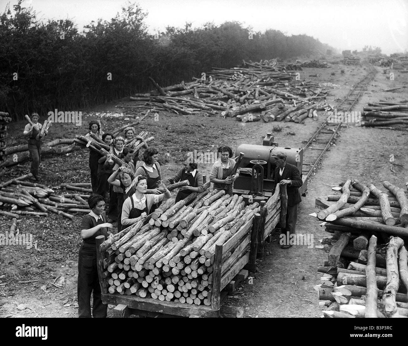 Women LumberJacks 1941 women doing mens jobs during the war years Stock