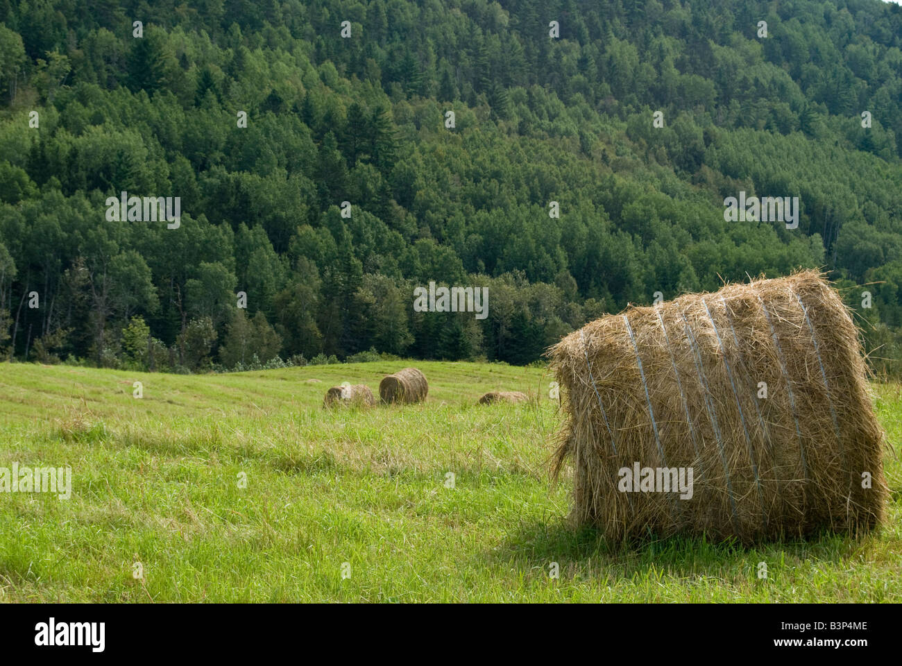 Taken at StUrbain, Charlevoix Stock Photo Alamy