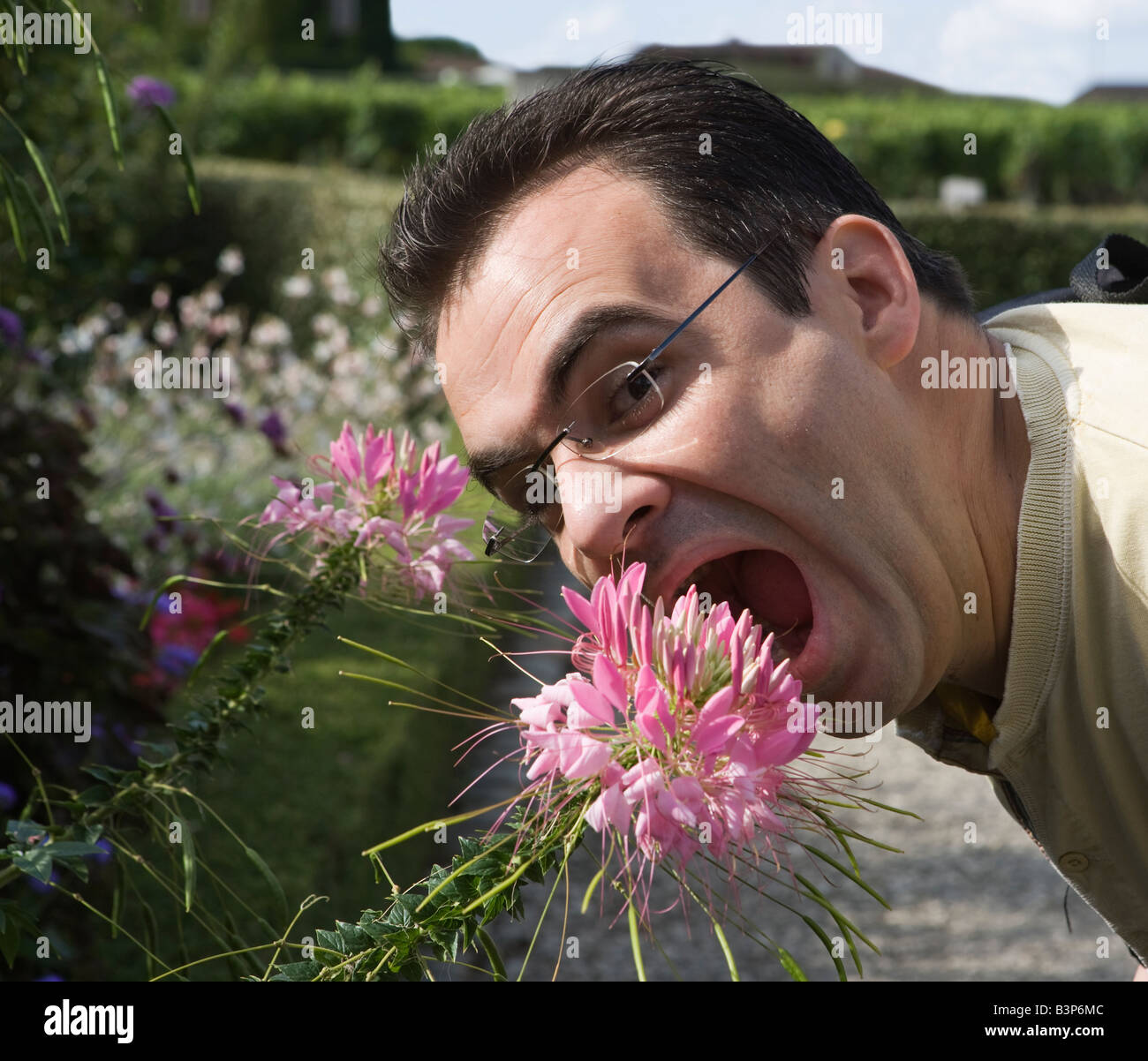 man male eating eat flower crazy craziness funny Stock Photo - Alamy