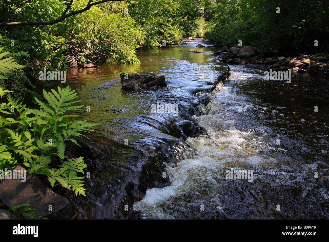 The Laughing Whitefish River American beautiful landscape Upper