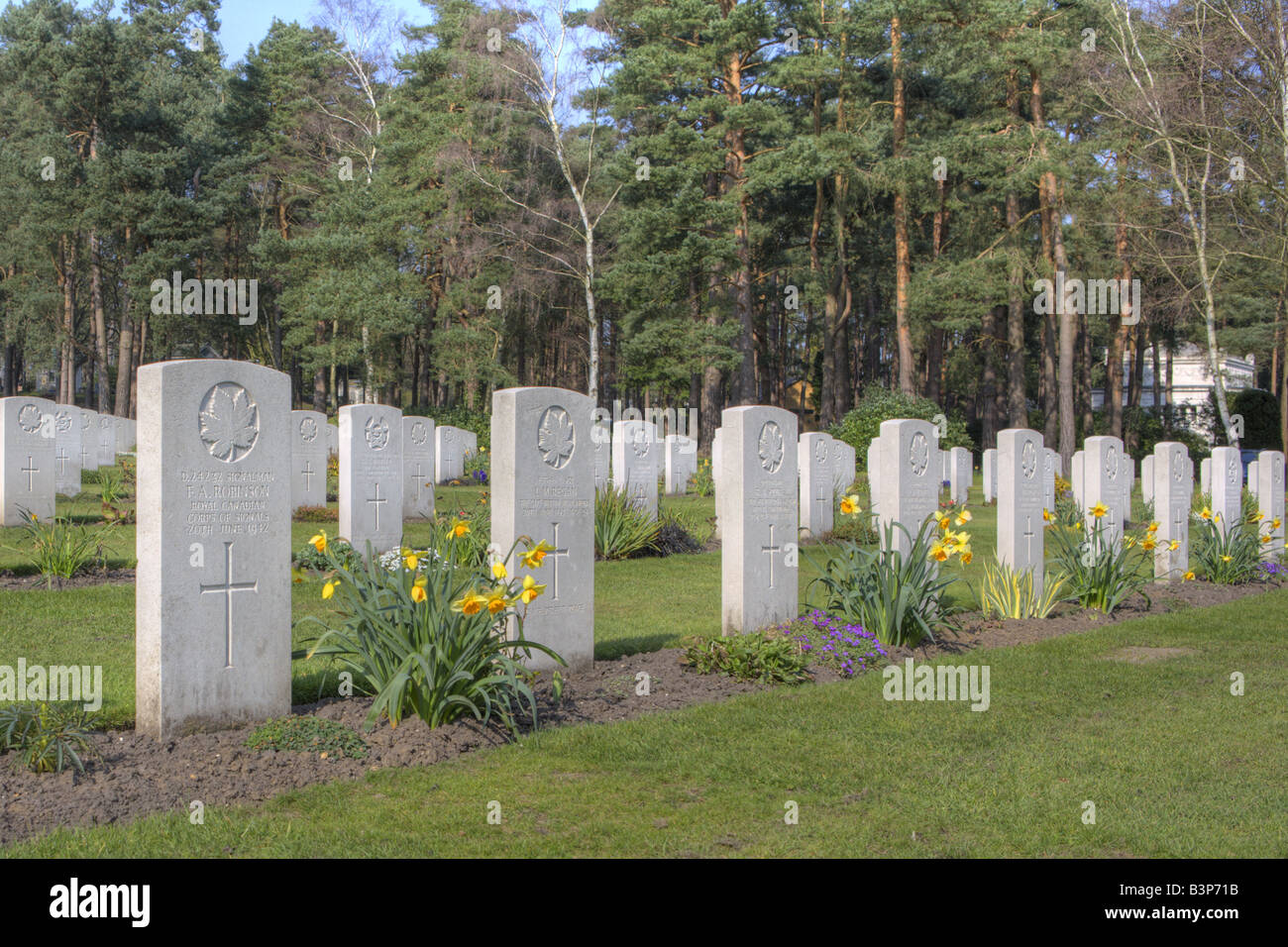 Canadian Military Cemetery Grave Markers Spring Daffodils Stock Photo Alamy