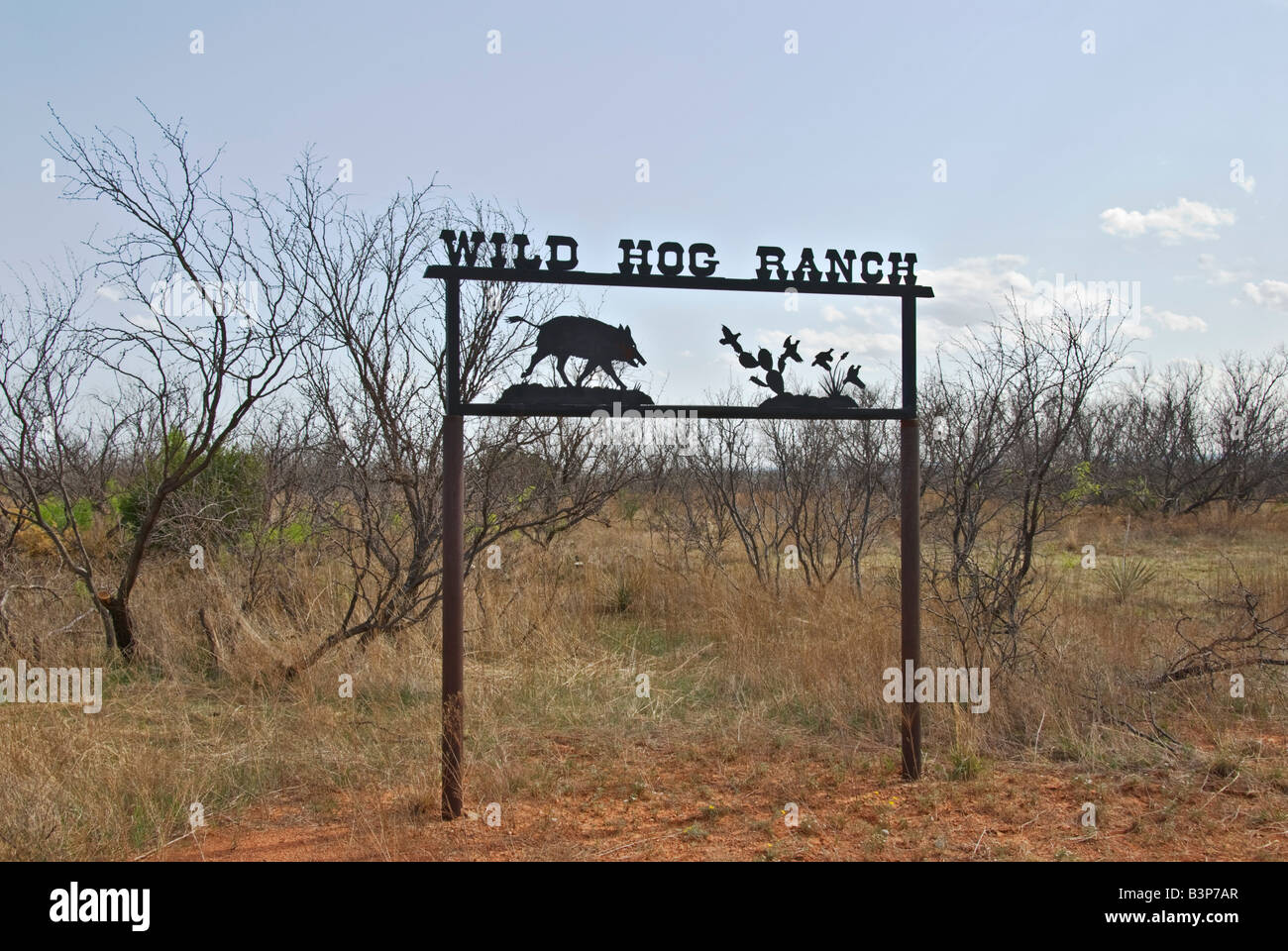 Texas Panhandle Region Wild Hog Ranch sign Stock Photo - Alamy