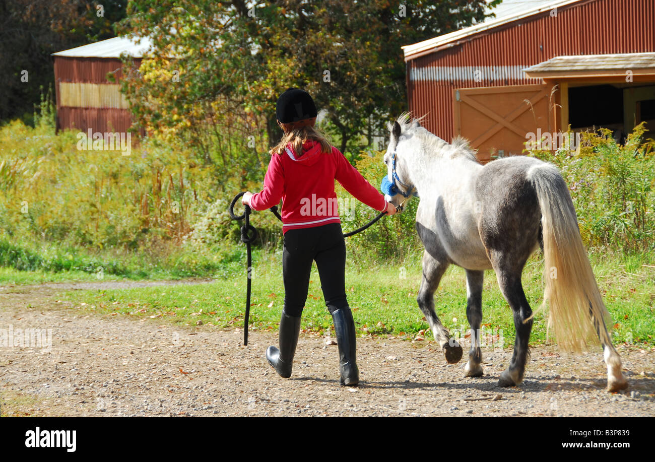 Young girl leading a white pony to stable Stock Photo