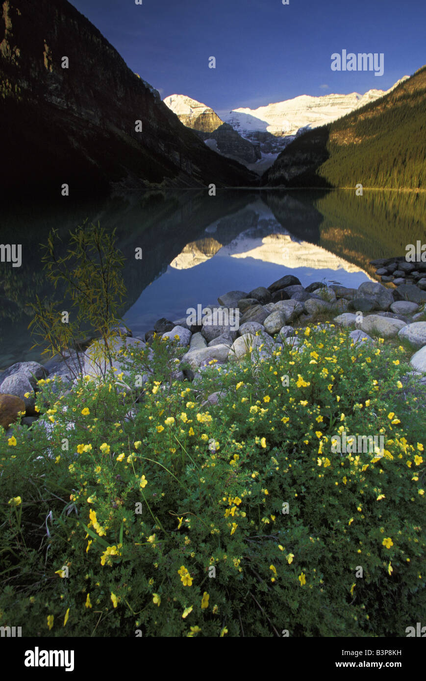 Lake Louise Banff National Park Canada Stock Photo - Alamy