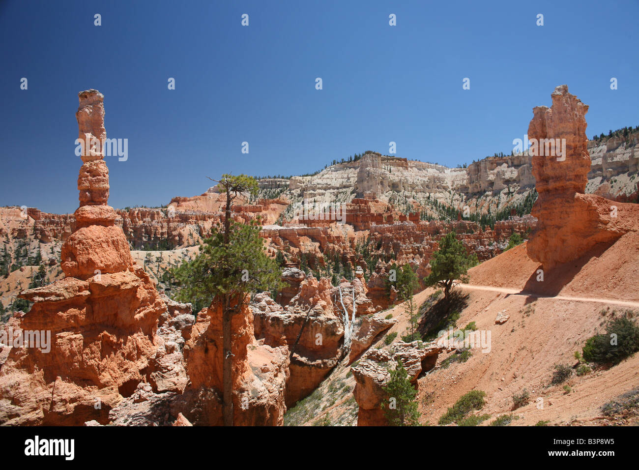 View Bryce Canyon Hike Trail Stock Photo