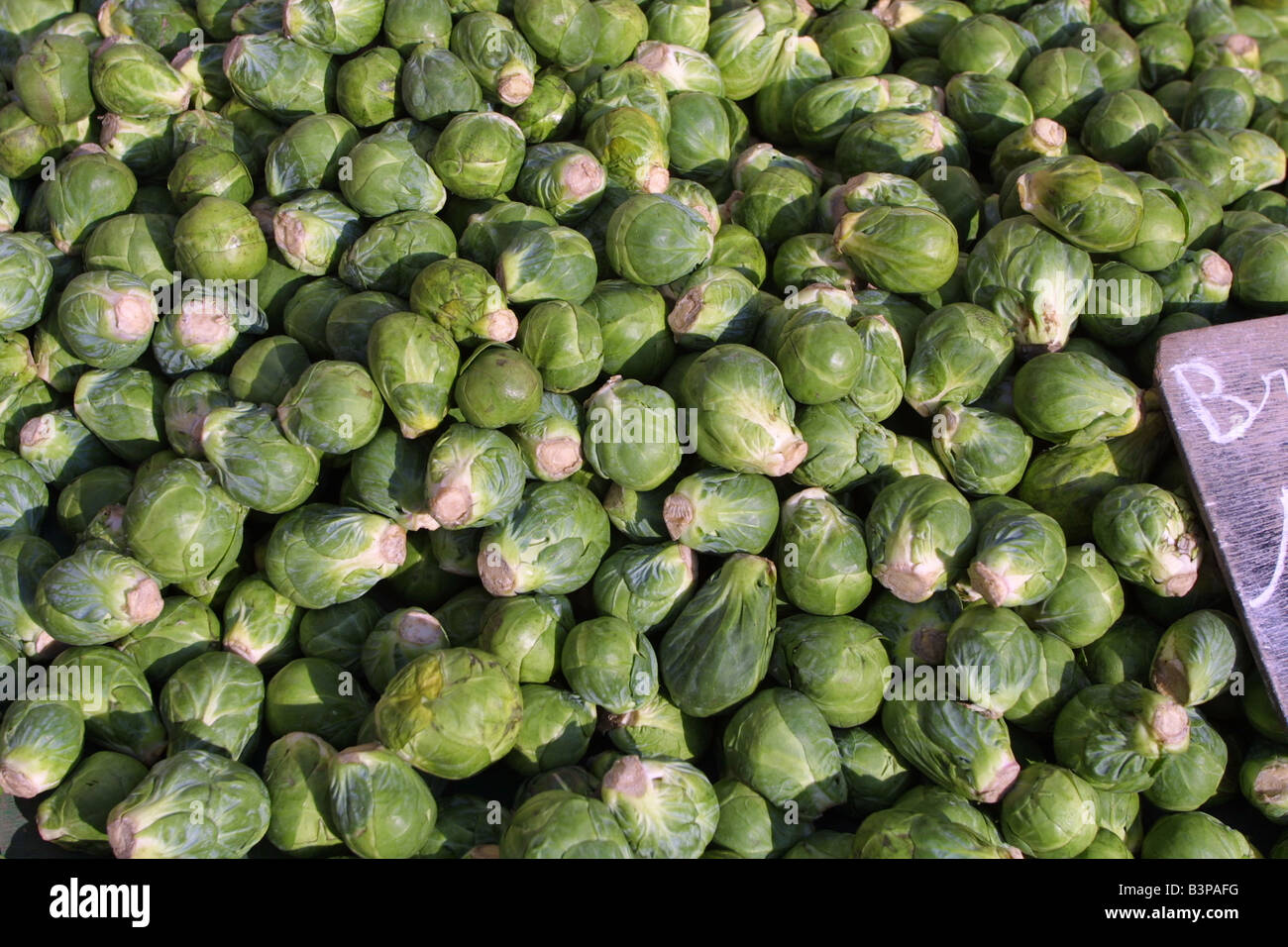 Green brussells sprouts for sale on market. France Bussellsprout_10157 Stock Photo